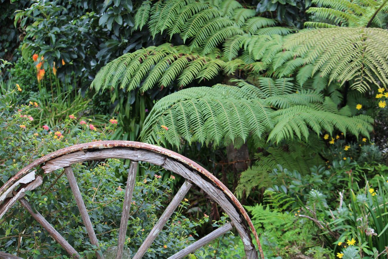 Coromandel Cottages Exterior foto